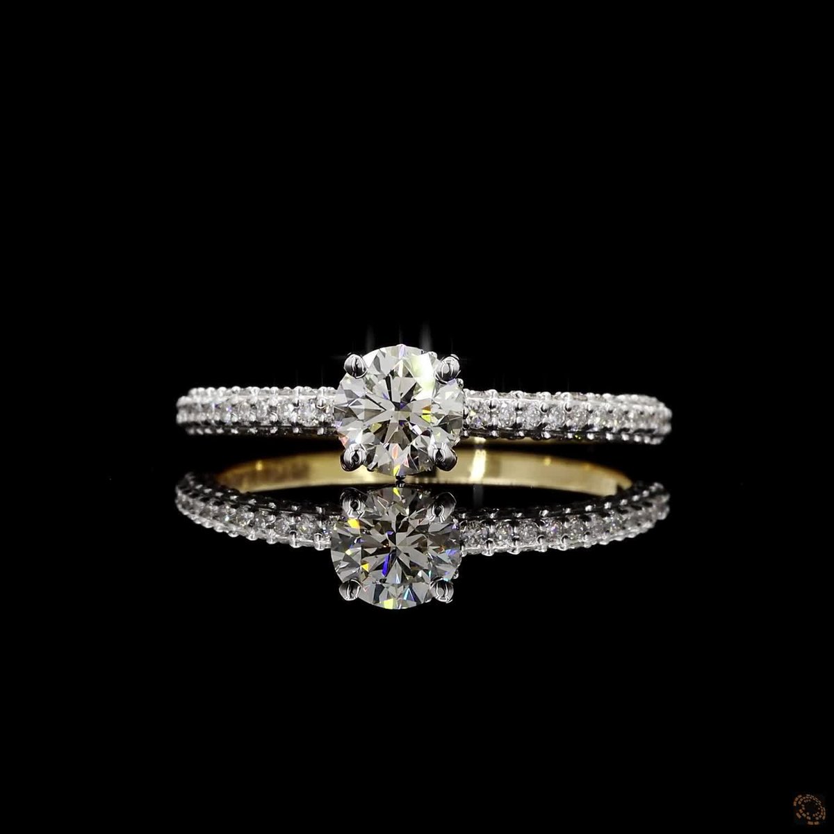 Pavé Shank Solitaire Ring
